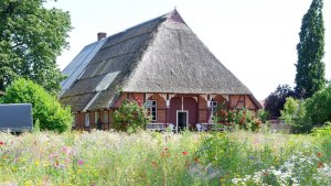 UMGEBUNG