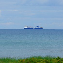 dfds st8750