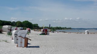 stein strand m19