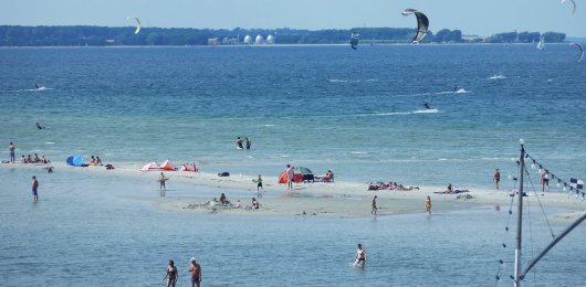 stein strand m421
